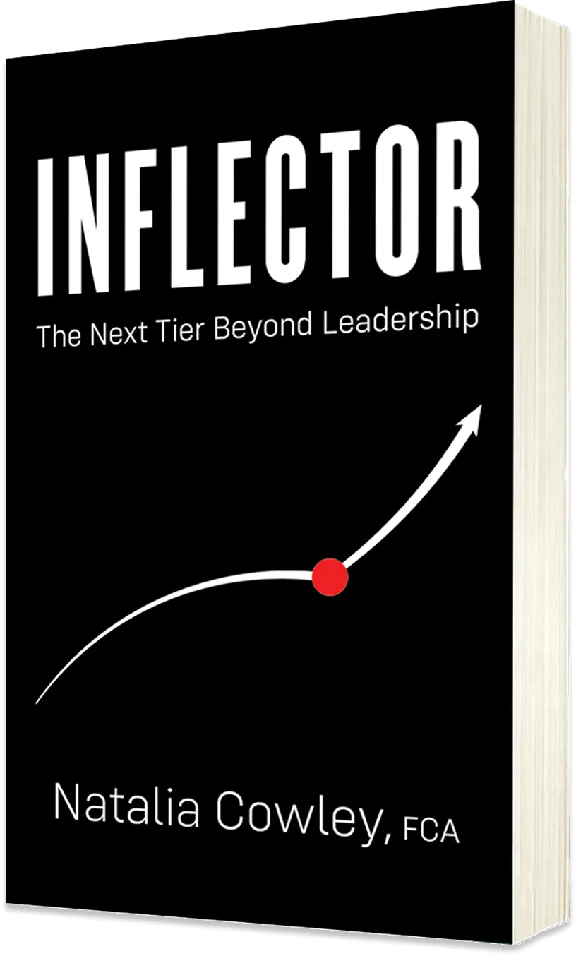Inflector book cover by Natalia Cowley